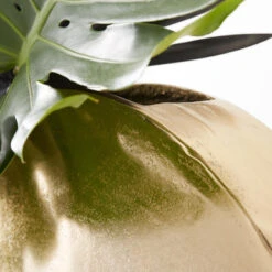 Greer Vase -Home Decor Shop 120209073 4 54063.1690281649.386.513