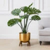 Nikki Chu - Jaguar Planter -Home Decor Shop 122424803 1 87954.1690292789.386.513