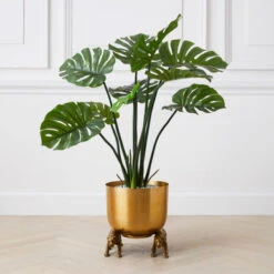 Nikki Chu - Jaguar Planter -Home Decor Shop 122424803 71996.1690292789.386.513