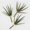 Faux Snake Grass Pick - Set Of 3 2 Faux Snake Grass Pick - Set Of 3 -Home Decor Shop 209204912 1 88389.1690278983.386.513 1