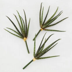Faux Snake Grass Pick - Set Of 3