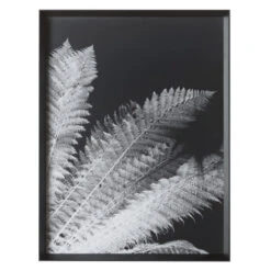 Tropical Palm Duo -Home Decor Shop 725117530 2 89656.1690292285.386.513 1