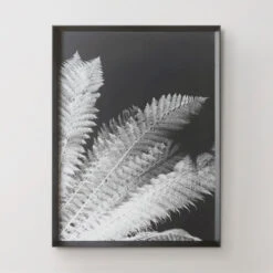 Tropical Palm Duo -Home Decor Shop 725117530 56886.1690292284.386.513 1