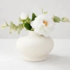 Anya Vase -Home Decor Shop webimage 120994781