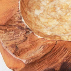 Organic Capiz Bowl -Home Decor Shop webimage 160160778 DTL 1