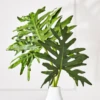 Philo Leaf -Home Decor Shop webimage 162142192