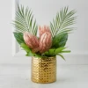 Protea In Pot - Blush 2 Protea In Pot - Blush -Home Decor Shop webimage 168115695 jpg