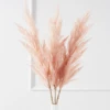 Pampas Grass - Set Of 3 -Home Decor Shop webimage 168154275 jpg