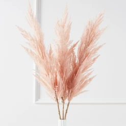 Pampas Grass - Set Of 3
