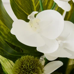 Phalaenopsis Leaf In Glass -Home Decor Shop webimage 168192665 dtl2 1