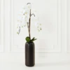 Nikki Chu - Orchid In Black Vase -Home Decor Shop webimage 168213601