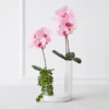Nikki Chu - Pink Orchid In White Vase -Home Decor Shop webimage 168247451 1