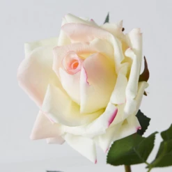 Real Touch Open Rose Spray - Set Of 3 -Home Decor Shop webimage 200023566 1 jpg