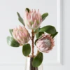 Protea Queen Spray - Set Of 3 -Home Decor Shop webimage 200023570 jpg