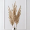 Pampas Grass - Set Of 3 -Home Decor Shop webimage 200200552 jpg