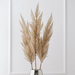 Pampas Grass - Set Of 3