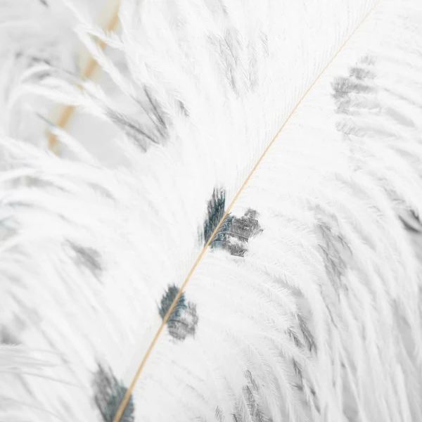 Ostrich Spray - Set Of 3 4 Ostrich Spray - Set Of 3 - Image 2