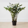 Zamioculas Tree 1 Zamioculas Tree -Home Decor Shop webimage 206448861 jpg
