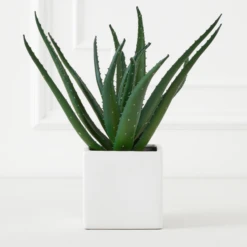 Faux Aloe Plant