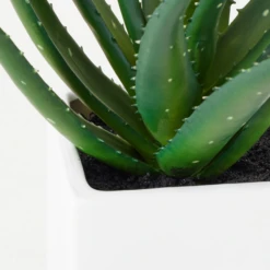 Faux Aloe Plant -Home Decor Shop webimage 207032941 dtl 1