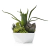 Faux Aloe And Succulent Geo Pot 2 Faux Aloe And Succulent Geo Pot -Home Decor Shop webimage 207157001 jpg