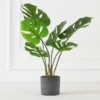 Faux Monstera In Pot -Home Decor Shop webimage 207203517