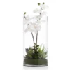 Faux Potted Orchid With Succulents -Home Decor Shop webimage 207818656 jpg