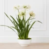 Faux Potted Agapanthus
