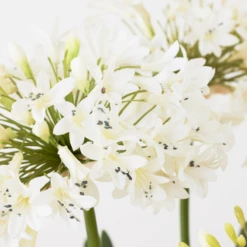 Faux Potted Agapanthus -Home Decor Shop webimage 207919622 dtl1