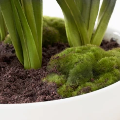 Faux Potted Agapanthus -Home Decor Shop webimage 207919622 dtl2