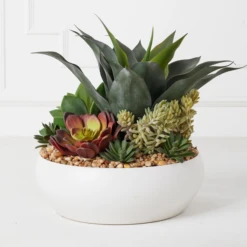 Succulent Assortment In Bowl -Home Decor Shop webimage 207999711 alt