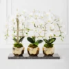 Orchid Trio With Granite Slab -Home Decor Shop webimage 207999715
