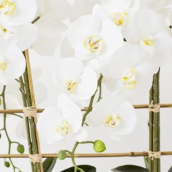 Orchid Trio With Granite Slab 7 Orchid Trio With Granite Slab -Home Decor Shop webimage 207999715 dtl2 1