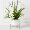 Orchids In Bowl With Stand -Home Decor Shop webimage 207999716 1