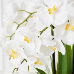 Orchids In Bowl With Stand -Home Decor Shop webimage 207999716 dtl 1