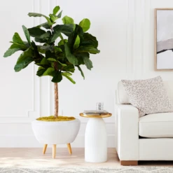 Fiddle Leaf Tree In Bowl -Home Decor Shop webimage 207999719 alt6 DSI FIDDLE LEAF IN WHITE POT rv
