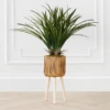 Areca In Wood Stand -Home Decor Shop webimage 207999721