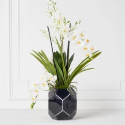 Orchids In Glass Bowl 35 Orchids In Glass Bowl -Home Decor Shop webimage 207999723 1