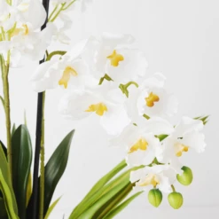 Orchids In Glass Bowl 36 Orchids In Glass Bowl -Home Decor Shop webimage 207999723 dtl1 1