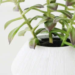 Tree Succulents In Planter -Home Decor Shop webimage 207999954 dtl 1