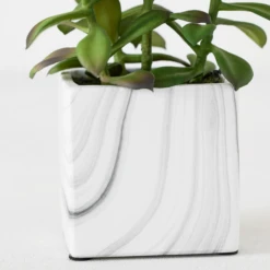 Tree Succulents In Marble Pot -Home Decor Shop webimage 207999966 dtl 1