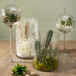 Faux Air Plant -Home Decor Shop webimage 209172845 rv1 jpg