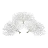 Faux Coral Fan - Set Of 3