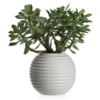 Faux Sedum Succulent Pick - Set Of 3 -Home Decor Shop webimage 209198137 jpg