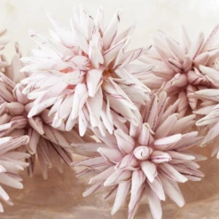 Faux Allium Sphere - Set Of 9 -Home Decor Shop webimage 209202507 dtl 1