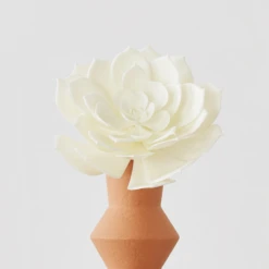 Faux Echeveria Succulent Pick -Home Decor Shop webimage 209208664 alt1