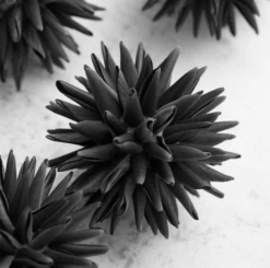 Faux Allium Sphere - Set Of 9 -Home Decor Shop webimage 209356924 2 jpg