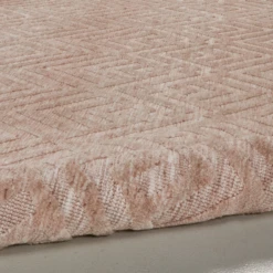 Toni Rug - Blush -Home Decor Shop webimage 620614385 DTL1 1