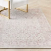 Sayer Rug - Blush -Home Decor Shop webimage 620839274