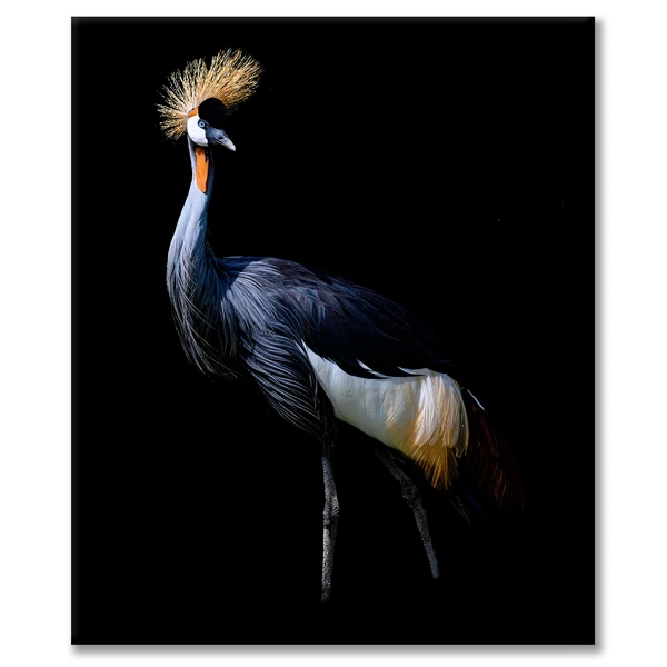 Ready For My Close Up 1 3 Ready For My Close Up 1